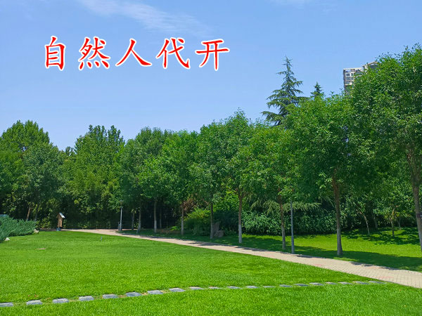 郑州税收优惠园区里申请自然人代开享受优惠政策