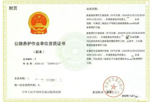 河南申请公路养护资质延续需要满足哪些业绩要求？